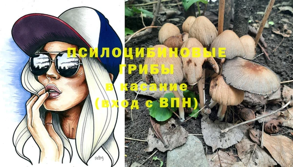 не бодяженный Бородино