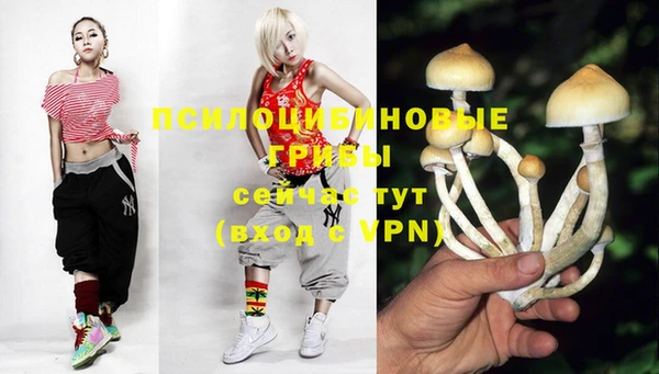 не бодяженный Бородино